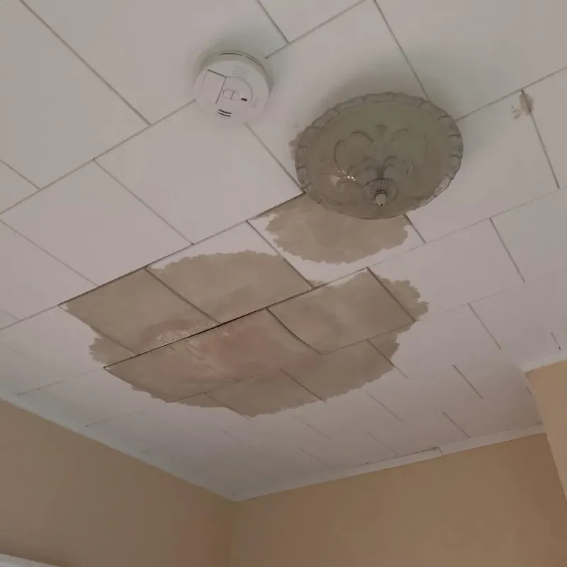 Ceiling Water Damage Repair in New Columbia, PA