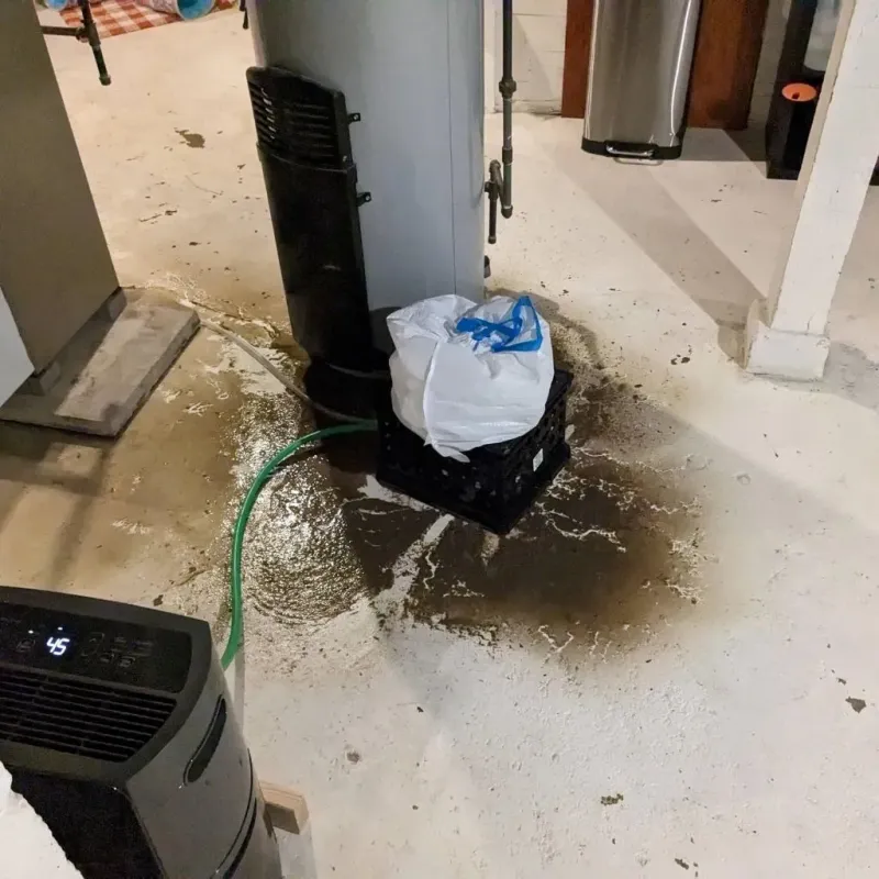 Sewage Backup Cleanup Service in New Columbia, PA